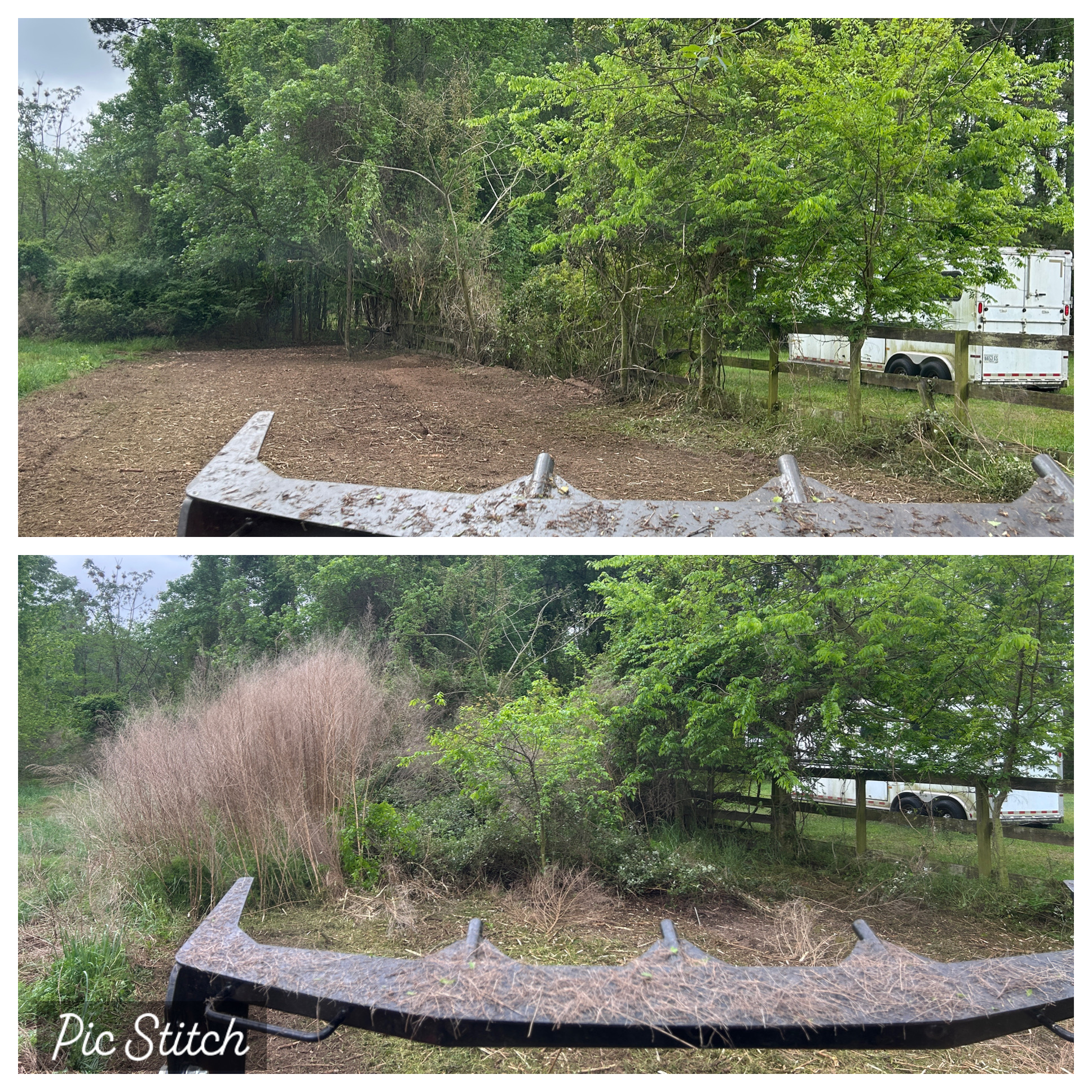 Before and after brush clearing from behind forestry mulching equipment